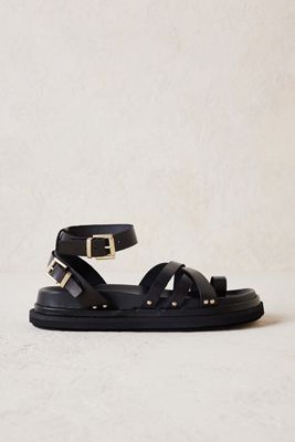 carina leo puma
