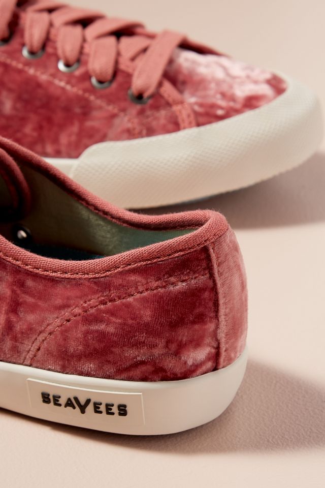 SeaVees Sneaker aus Samt #3