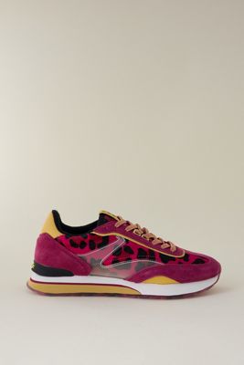 HOFF Art Trainers