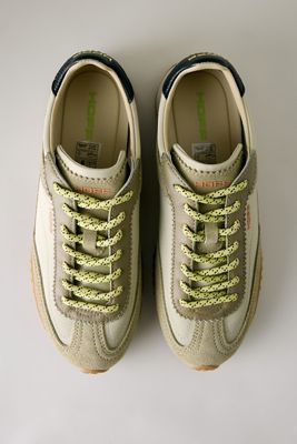HOFF Bridge Trainers