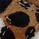 BROWN MOTIF