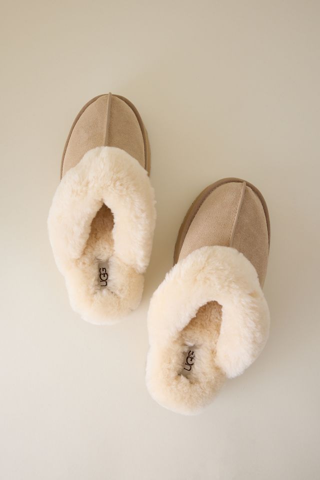 UGG Disquette Slipper #3