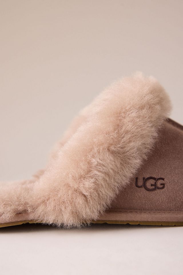 Pantofole Scuffette II UGG #3