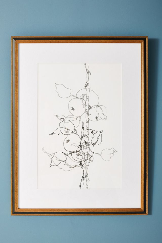 Apple Tree 1 Wall Art