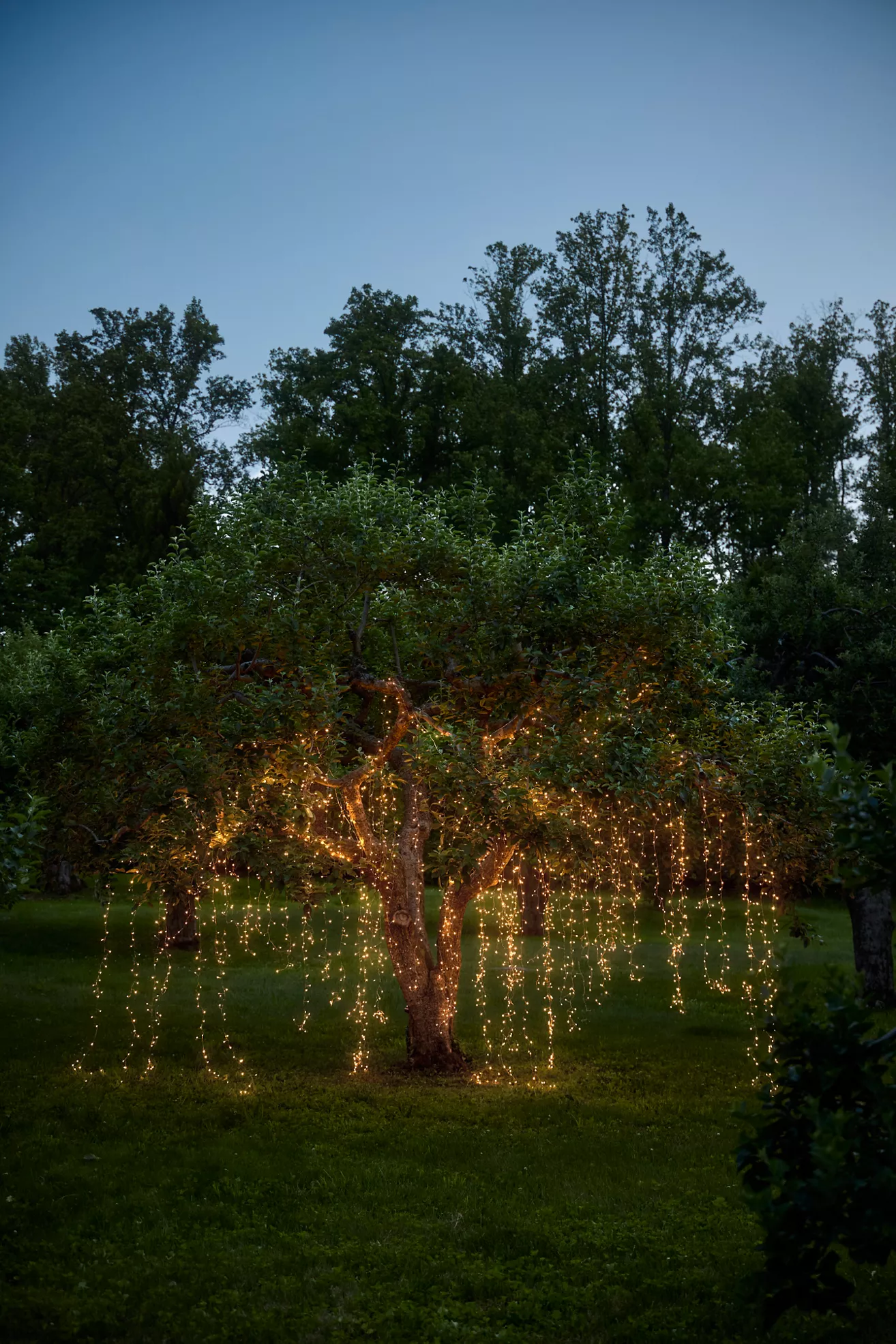 Terrain Stargazer Twinkling Copper Curtain - thumbnail 10