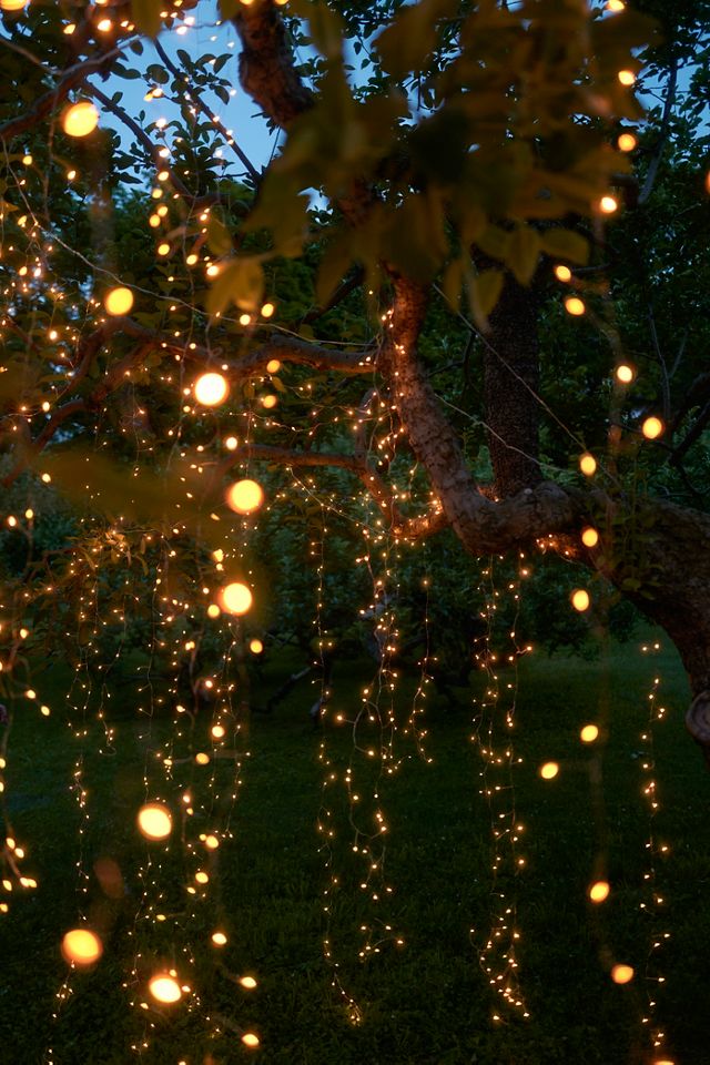 Stargazer Twinkling Copper Curtain #5