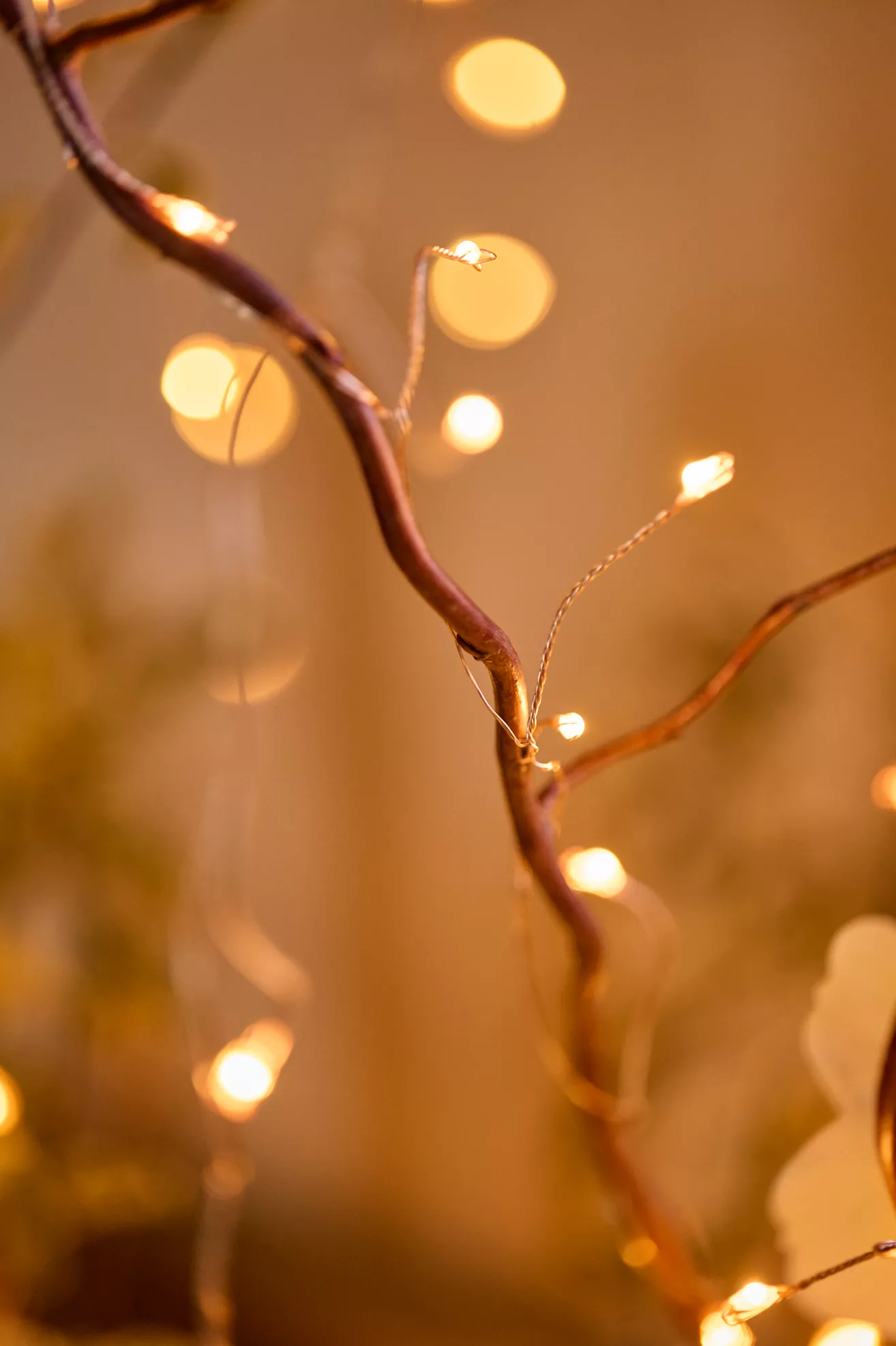 Terrain Stargazer Twinkling Copper Curtain - thumbnail 2