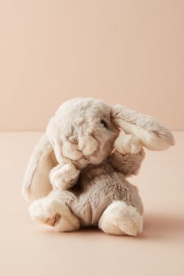 Mini Bunny