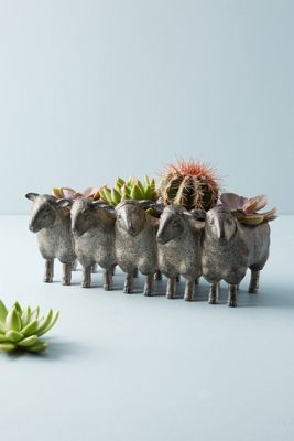 Row of Sheep Planter