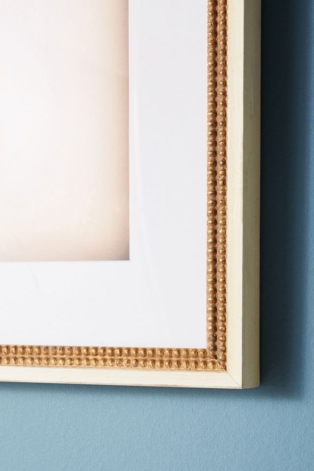 Sweet Mimosa Wall Art #1