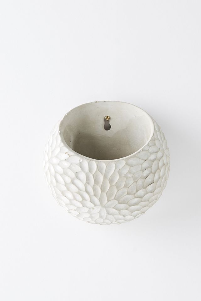 Chrysanthemum Pot #1