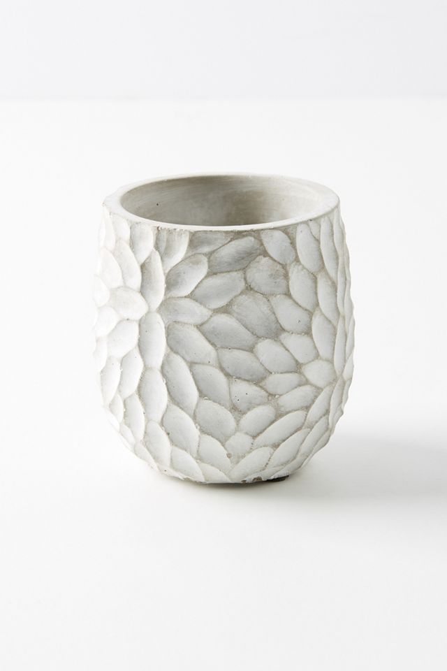 Chrysanthemum Pot #2
