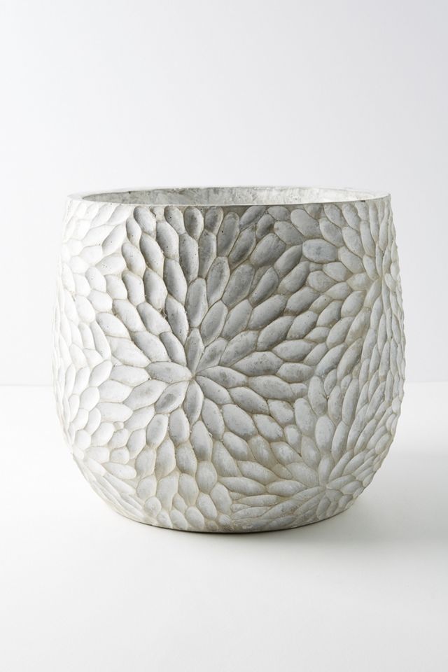 Chrysanthemum Pot #6