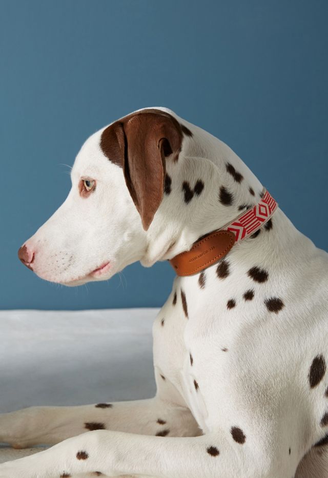 Leather & Hemp Collar #2