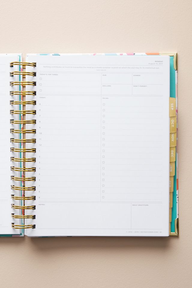 Day Designer 2017-2018 Flagship Planner #3