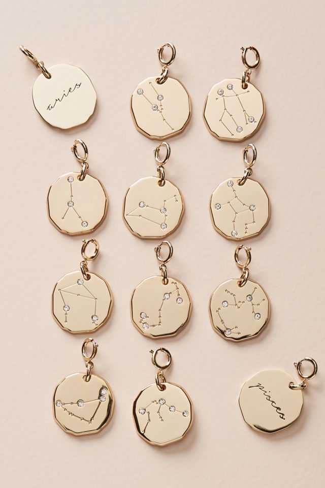 Zodiac Decorative Charm #1