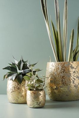 Demask Metallic Pot