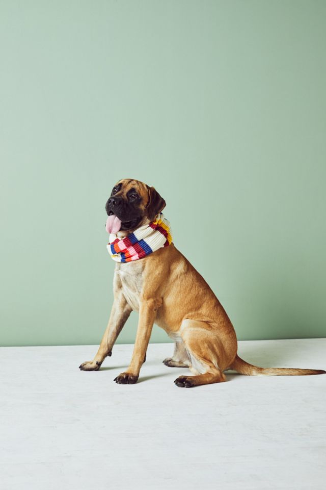 Cheery Striped Infinity Scarf #3