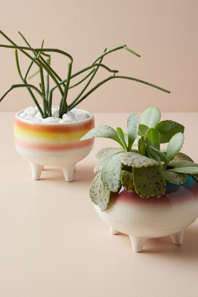 Glazed Ombre Planter #1