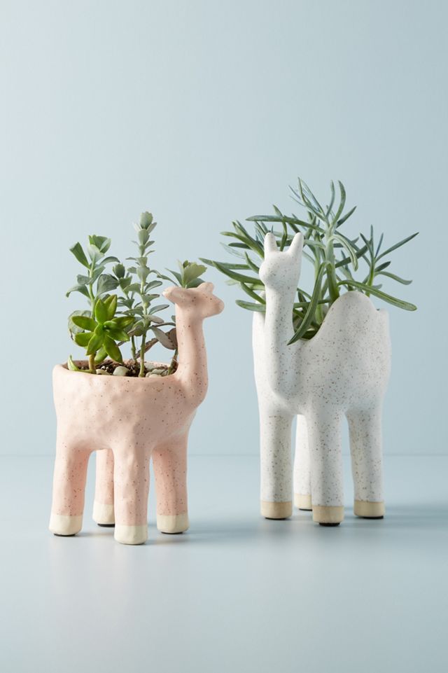 Anna-Lise Schmidt Gazelle Pot #2