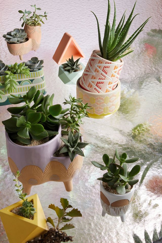 Bright Geo Pot #3