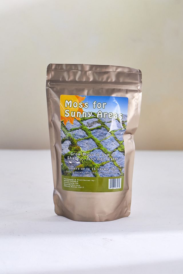 Moss for Sunny Areas AnthroLiving