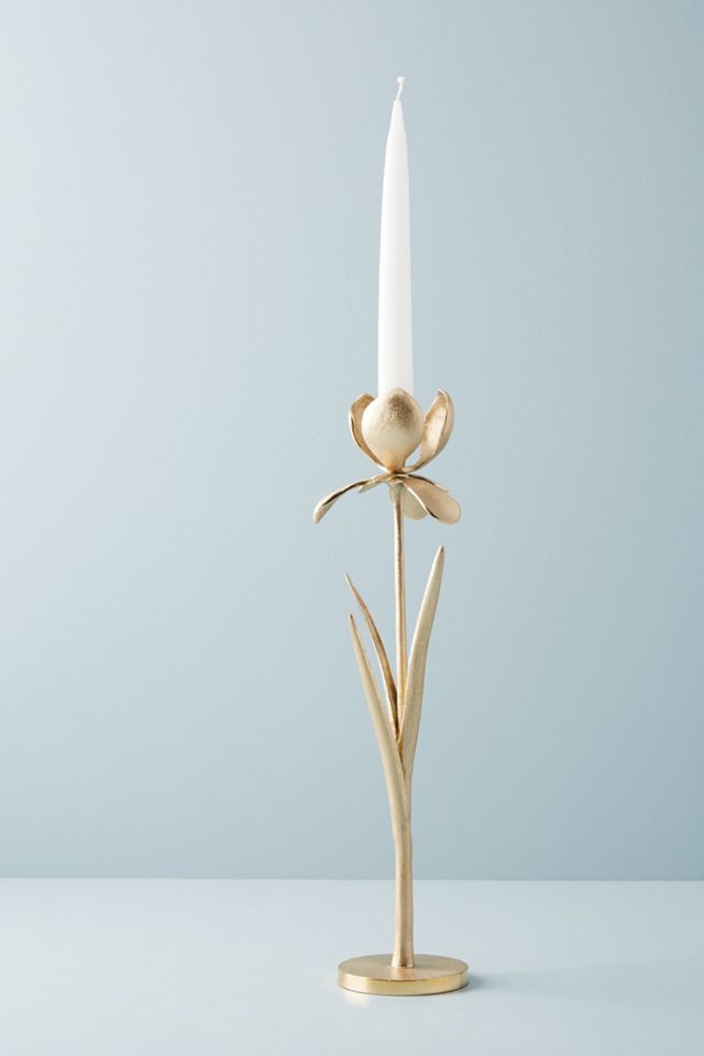 Iris Taper Holder #1