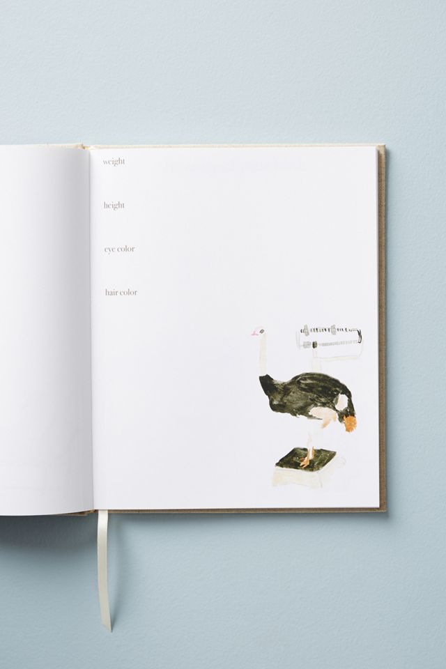 Heirloom Baby Book #2
