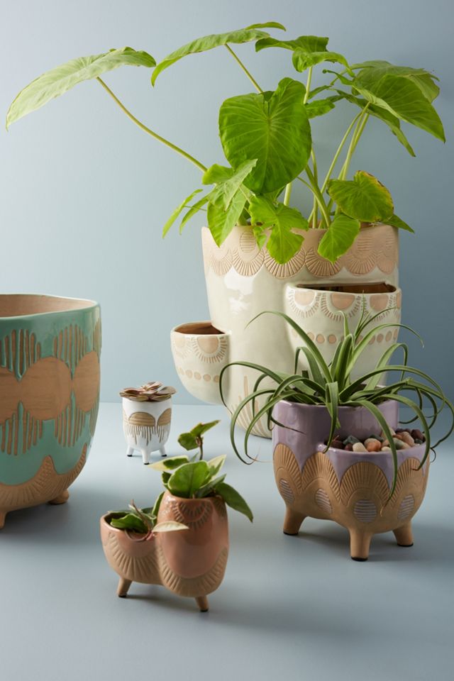 Waterloo Pot #1