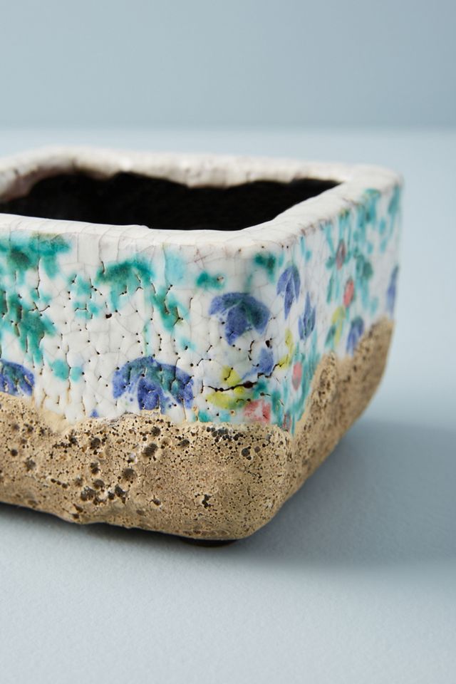 Naeva Pot #1