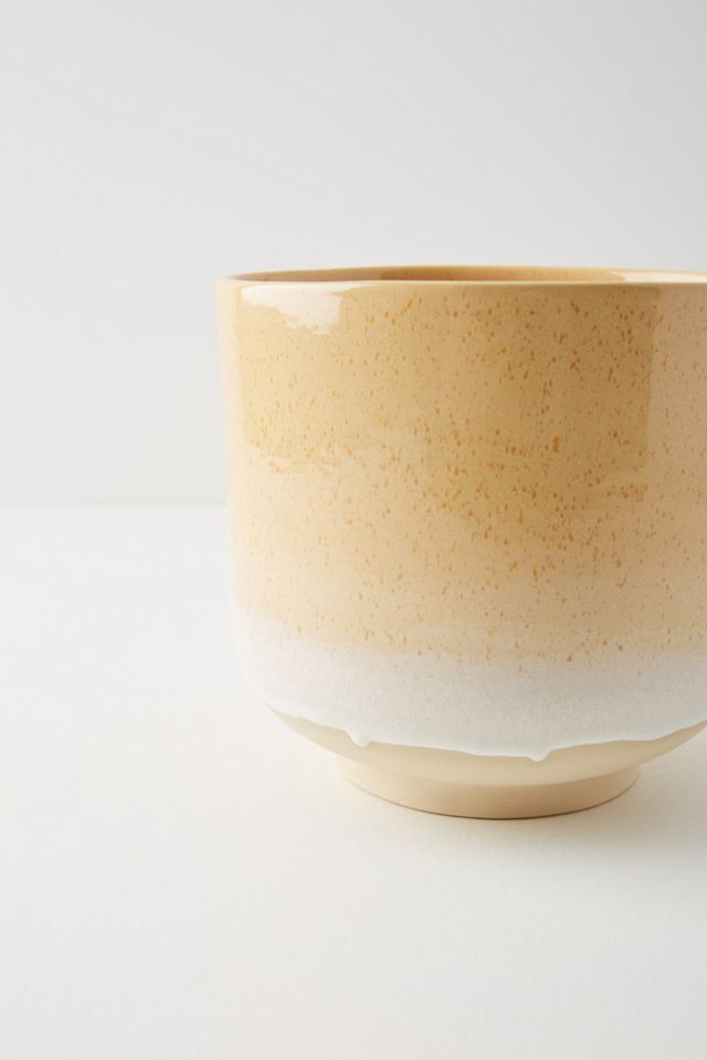Springside Pot #2