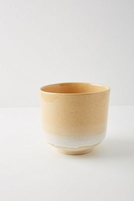 Springside Pot