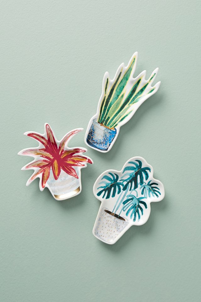 House Plant Trinket Dish #1