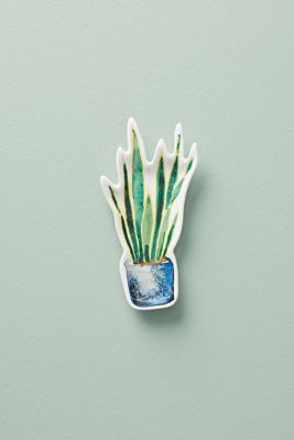 House Plant Trinket Dish