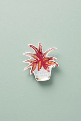House Plant Trinket Dish
