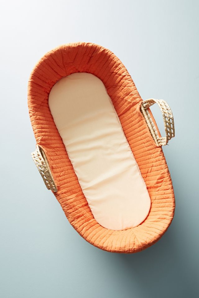 Anthropologie hot sale moses basket