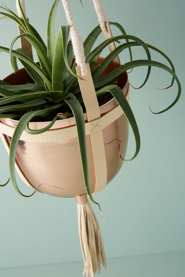 Ari Hanging Pot #1
