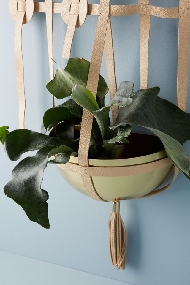 Ari Hanging Pot #1
