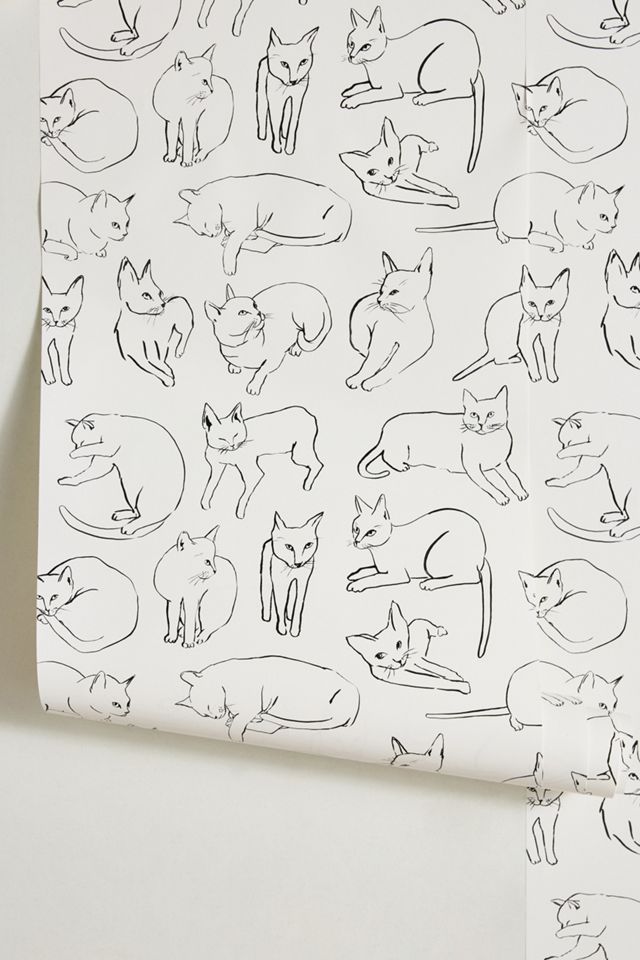 Anthropologie Cat Study Animal Wallpaper #1