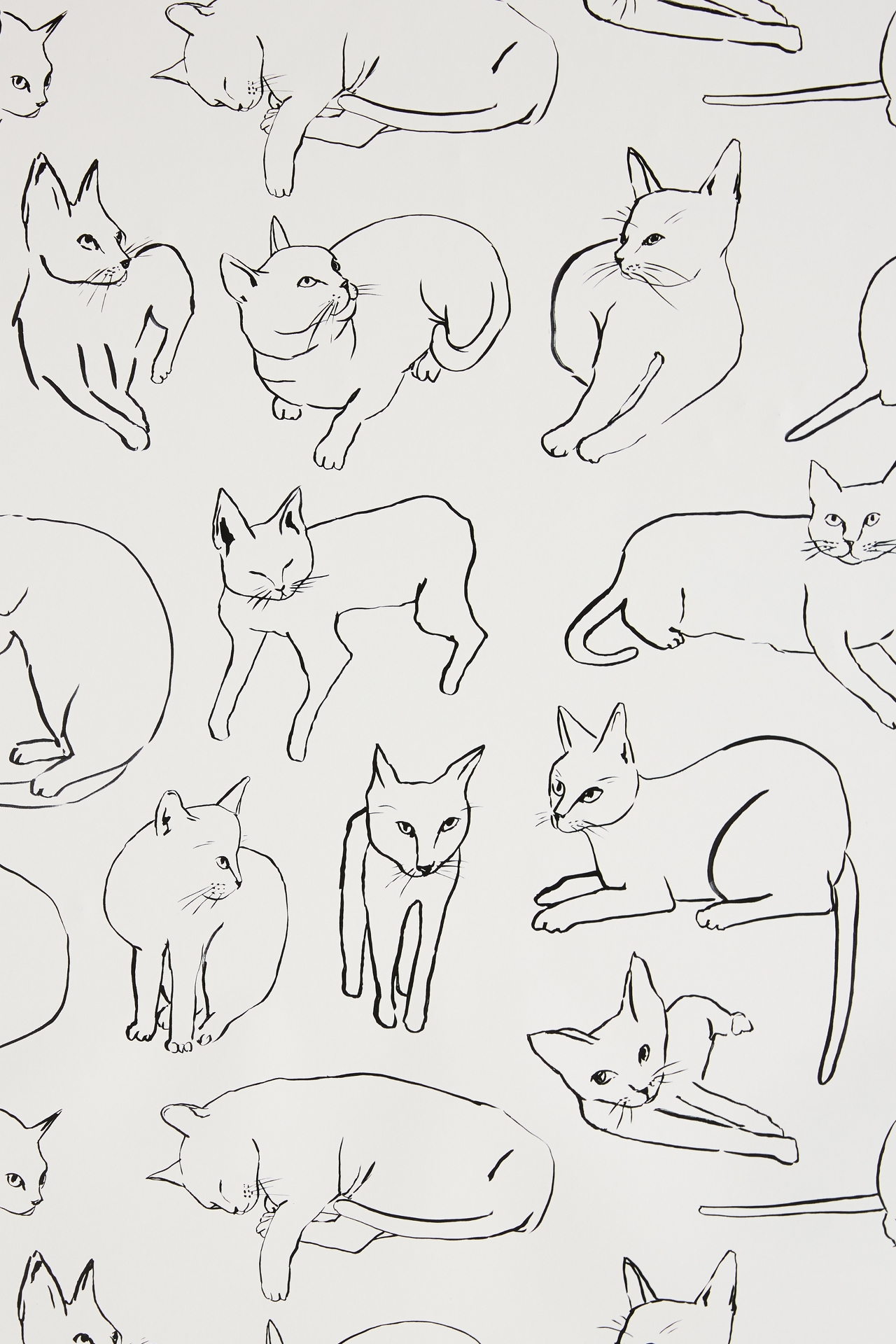 Anthropologie Cat Study Wallpaper