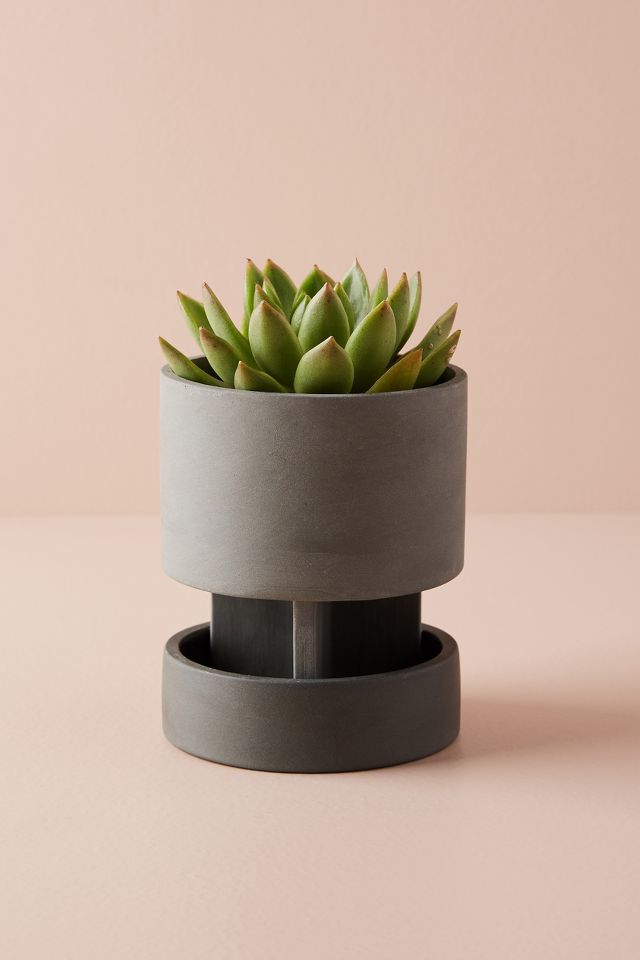 Agnes Elevated Planter | Anthropologie