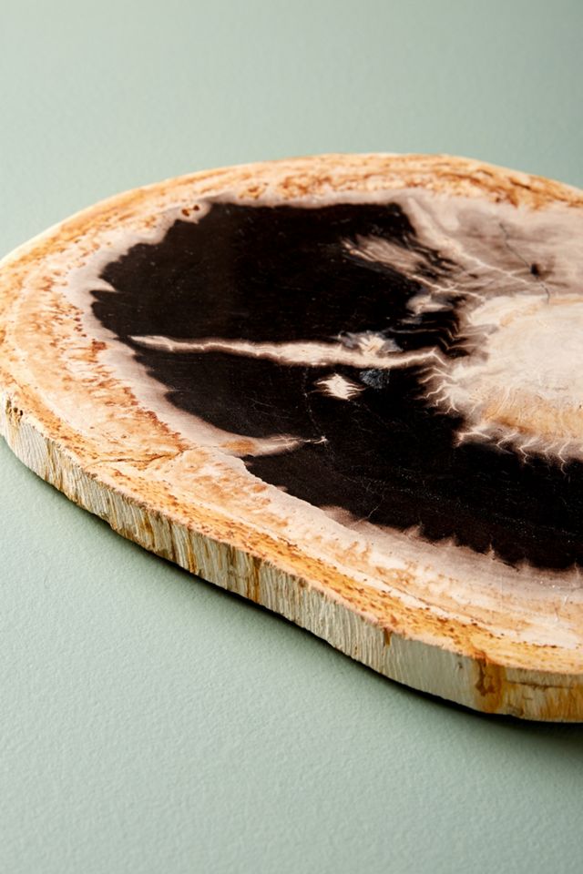 Petrified Wood Cheese Board #1