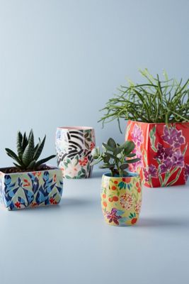 Sisters Gulassa Floral Pot