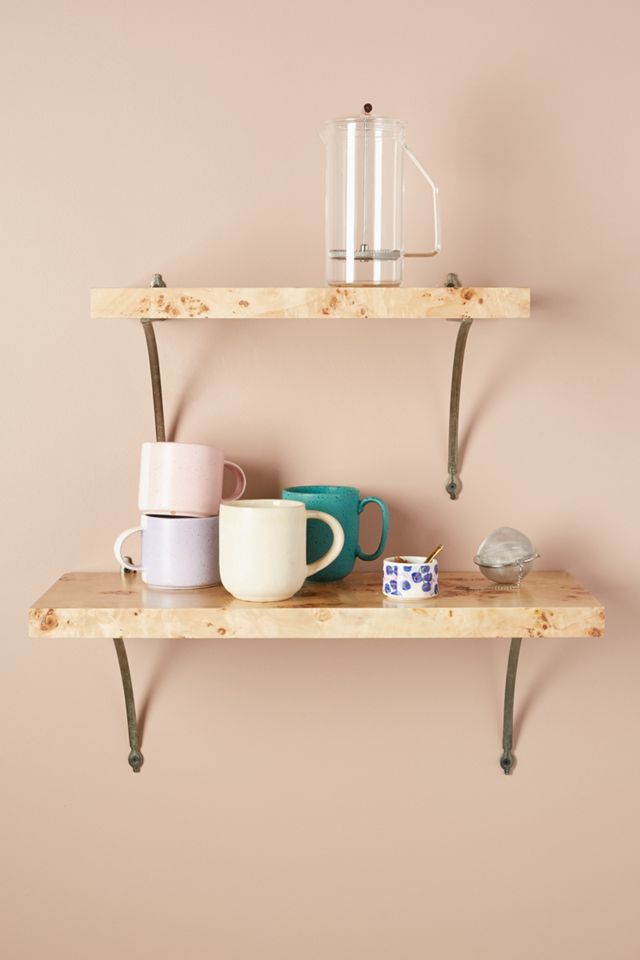 Edy Shelf #4
