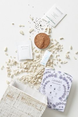 Modern Sprout Lavender Seed Box