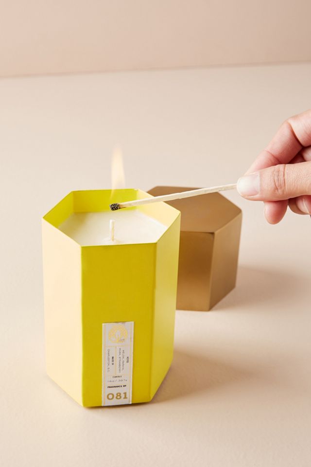 Candlefish Hexagonal Candle #1