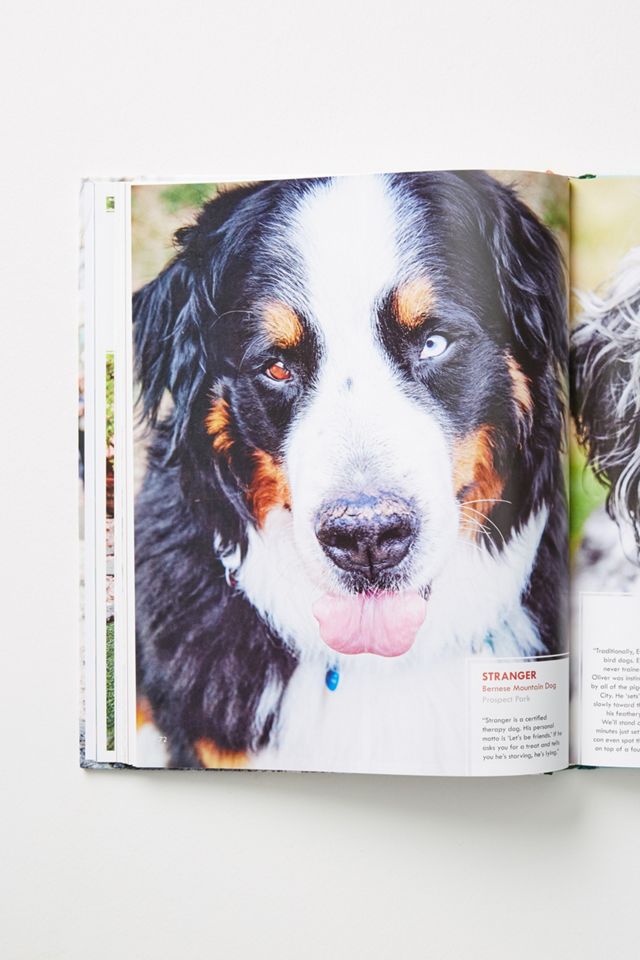 Canines of New York #1