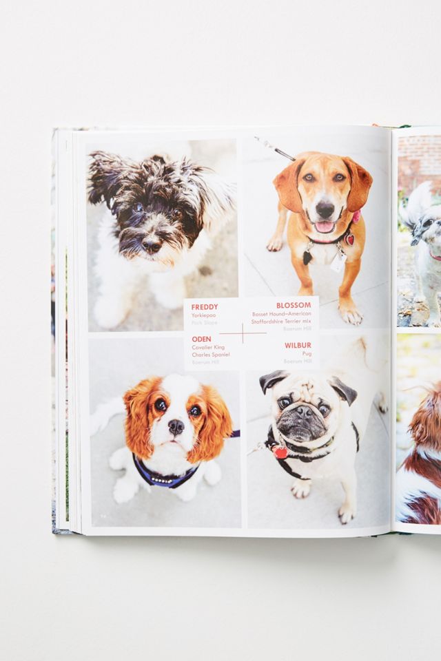 Canines of New York #2
