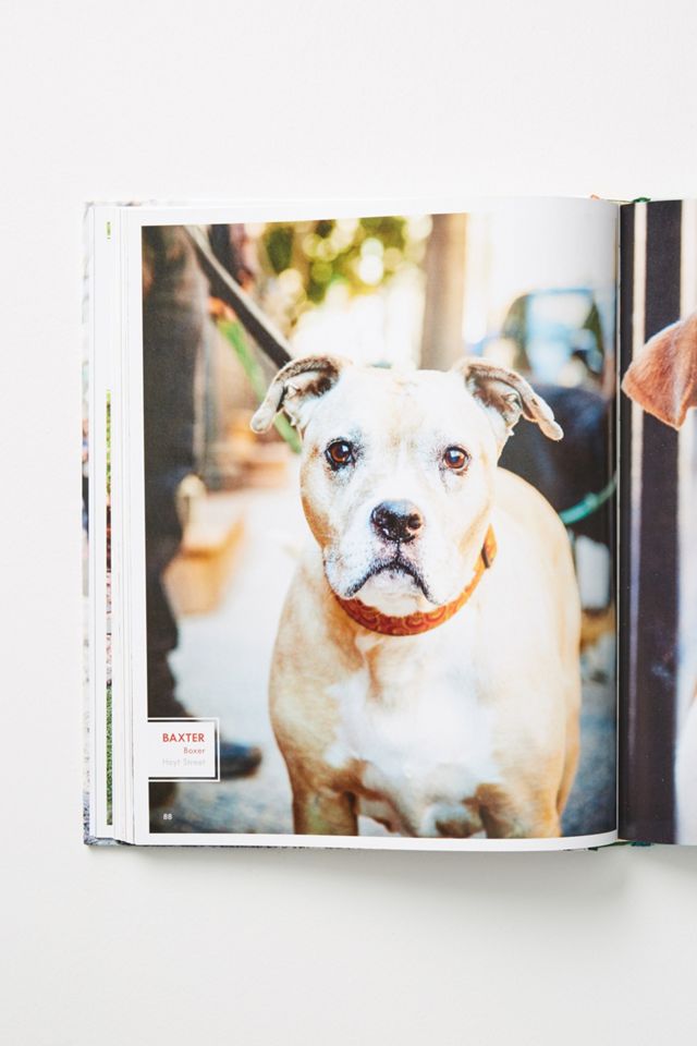 Canines of New York #3