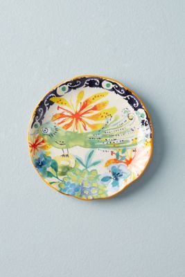 Dodi Coaster